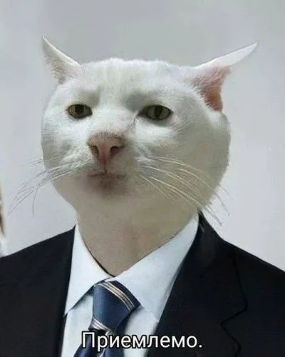 Приемлемо