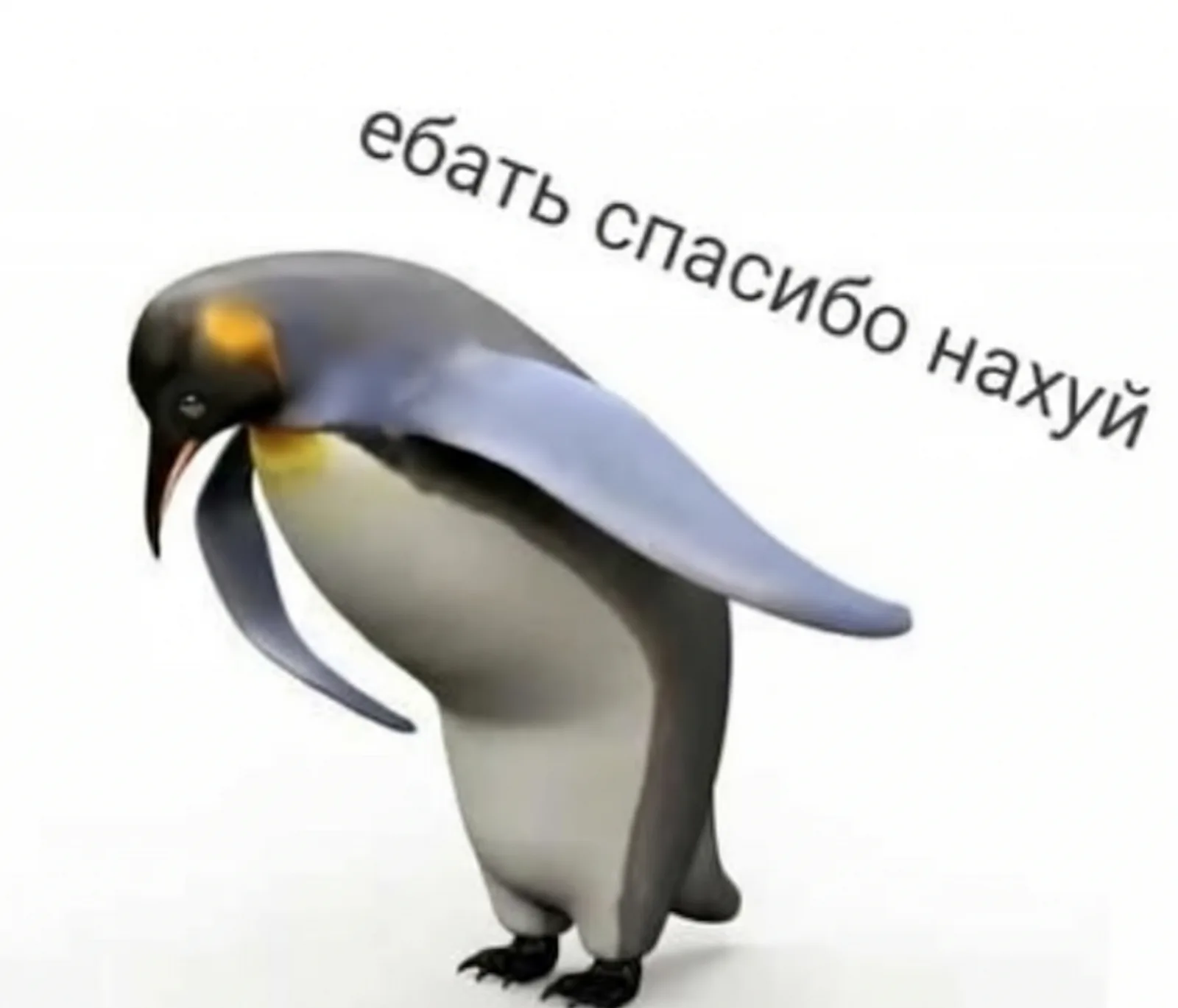 Спасибо и низкий поклон