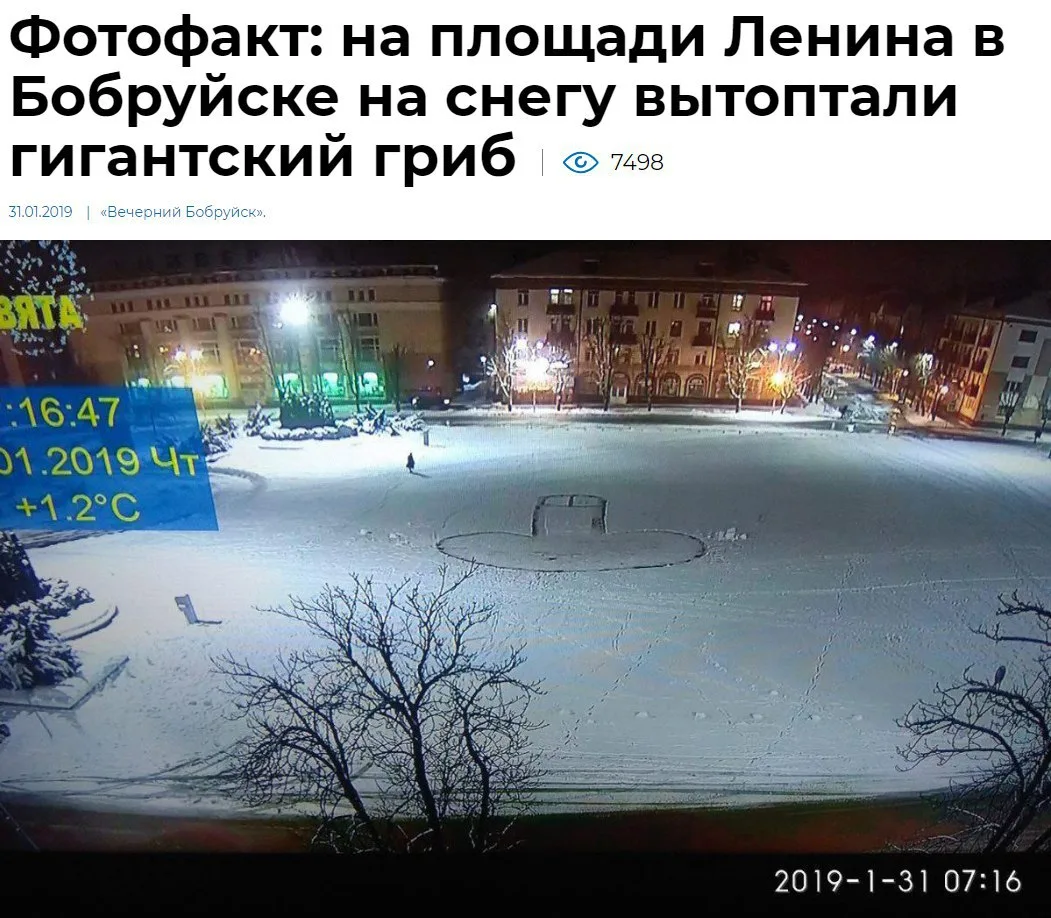 Грибники есть?